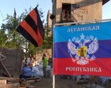 Кремлівська маріонетка попалася на оформленні українських пільг