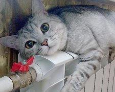 Опалення в Києві відключать 4 квітня
