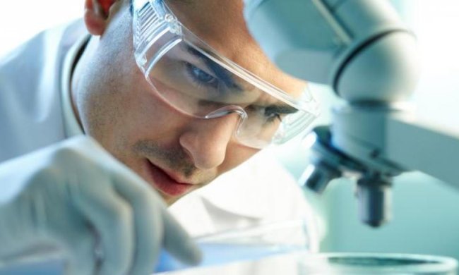 Вчені вперше показали на відео процес зародження життя: від однієї клітини до цілого організму