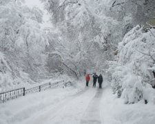 Погода на 7 февраля: не успело похолодать, а уже известно, когда потеплеет снова