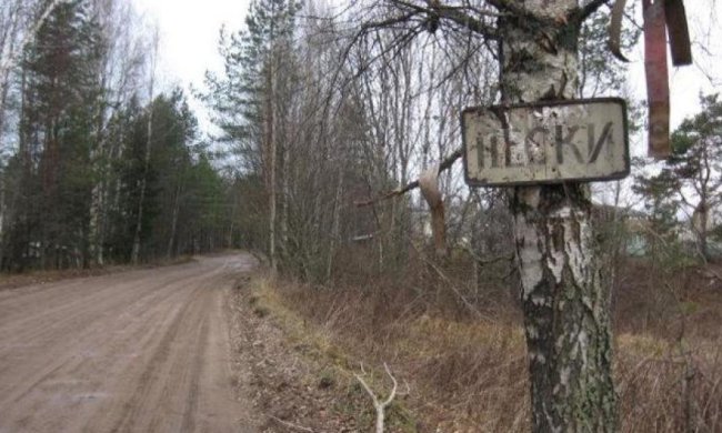 В Песках осталось 6 жителей - ОБСЕ