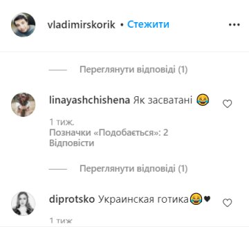 Коментарі, instagram.com/vladimirskorik