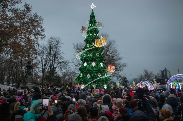 Самая сладкая елка Украины: под Львовом установили необычный новогодний рекорд