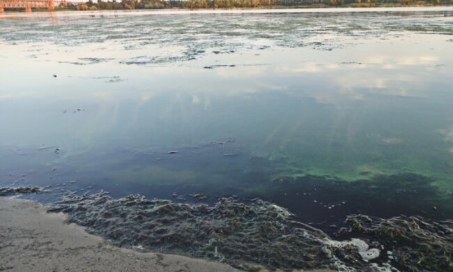 Огромное нефтяное пятно заметили на поверхности Днепра