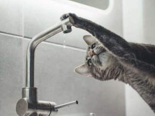 Отключение воды в Днепре 22 августа