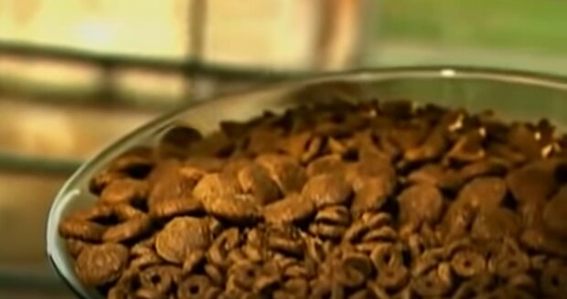 Мама ела корм для собак, отчаянно пытаясь спасти троих