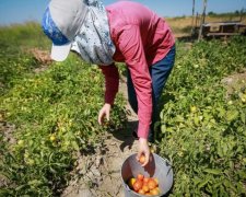 Рабство “по-польски”: как украинцы остаются без паспортов
