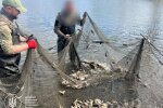 Золотая рыбка по-белоцерковски: фермер наловил браконьерским неводом ущерб на 6 миллионов
