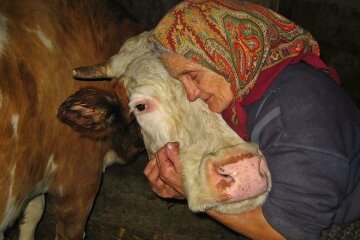 Як не втратити страховий стаж перед пенсією, поради від ПФУ