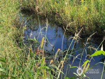 Нефть в водоеме, фото: Львовские новости