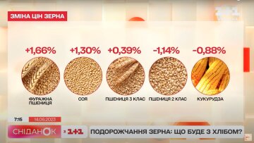 Зростання цін на зерно, скрін із сюжету "Сніданок з 1+1"