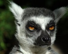 Успокойтесь: как снять стресс за одну минуту