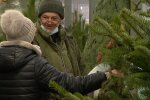Продажа елок, скриншот с видео