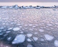 Фото: "Медузы" в Азовском море