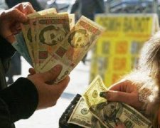 Гривня збереже стабільний курс до осені