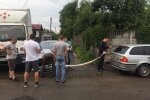 Живодеры в законе: в Одессе сотрудники Новой почты потравили бездомных, - кадры нечеловеческой жестокости