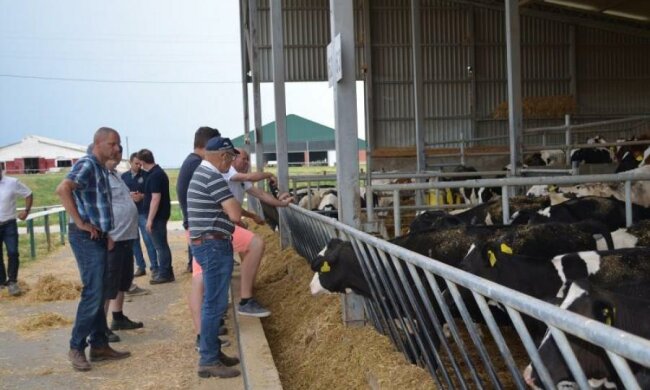 Українські фермери візьмуться за зброю 