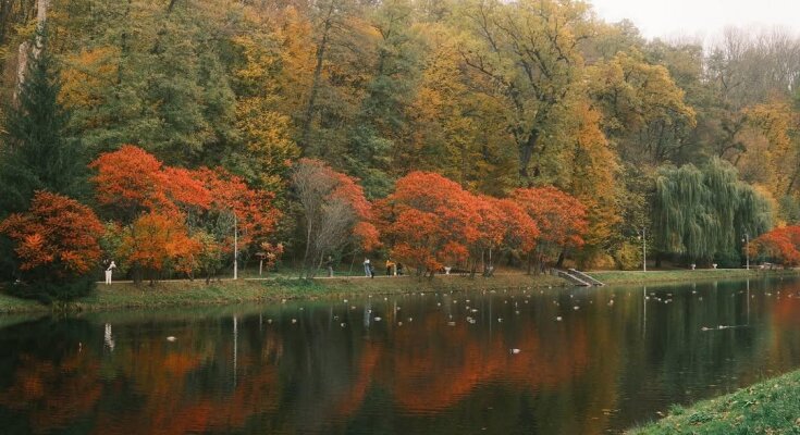 Кого не можна виганяти з дому 30 жовтня і куди треба покласти сало: прикмети та заборони на Зіновія