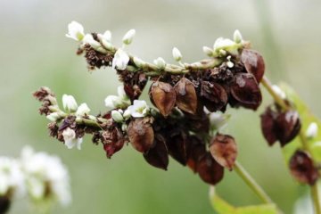 26 червня: яке сьогодні свято