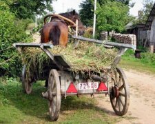 Тележный день 29 марта: чего категорически нельзя делать 
