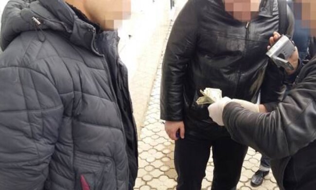Запорожского милиционера поймали на взятке в 700 долларов (фото)