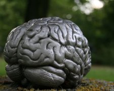 Лишний вес убивает мозг человека