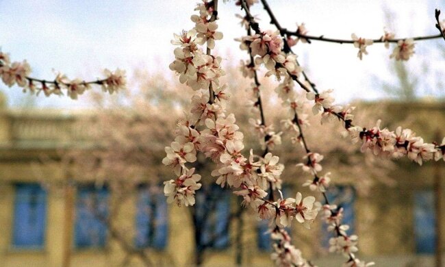 Весна, фото: Unian