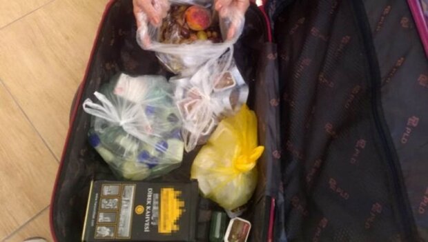 Оголодавшие россияне вывезли из Турции весь "шведский стол": чемоданы чуть не лопнули, фото "преступления года"