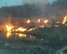 В Ірпіні шашлики на 8 березня закінчились підпалом торфяників