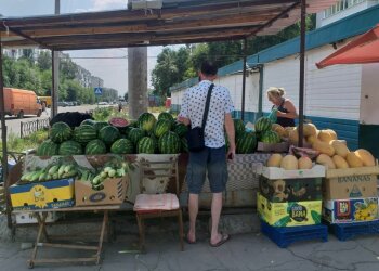 Арбузы и дыни, фото: 06452.com.ua