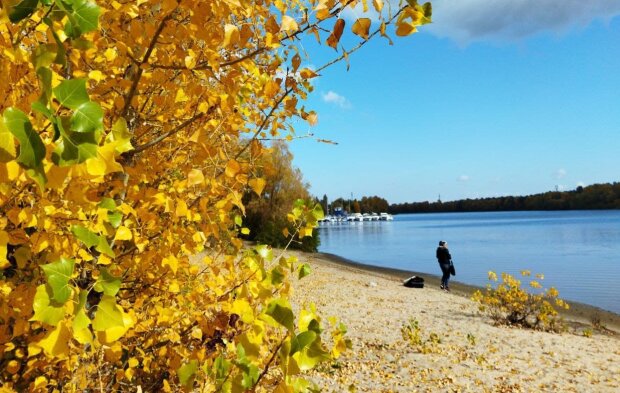 Осень, фото: znaj.ua
