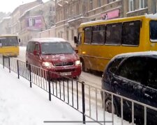 Маршрутки, фото: скріншот з відео