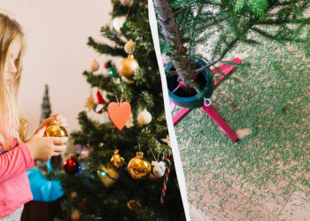 Уборка елки, изображения из соцсетей