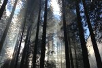 погода в Україні, фото pxhere