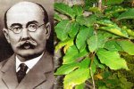 Володимир Липський