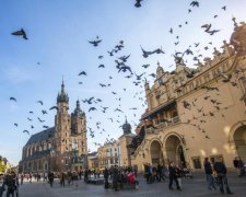 Російський айтішник влаштував дебош у Кракові