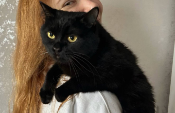 Котик, фото: Знай.ua