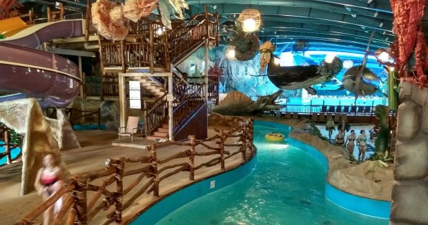 Ціле стадо: відвідувачів київського аквапарку вигнали волохаті монстри, і це не динозаври
