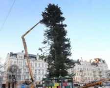 Черговий провал: відома причина облисіння головної ялинки країни