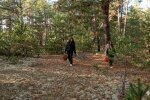 Ліс, гриби. Фото: скрін youtube