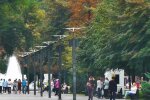 "Голих" дніпрян ловлять на гарячому, городяни лютують: "Дати б в морду!"