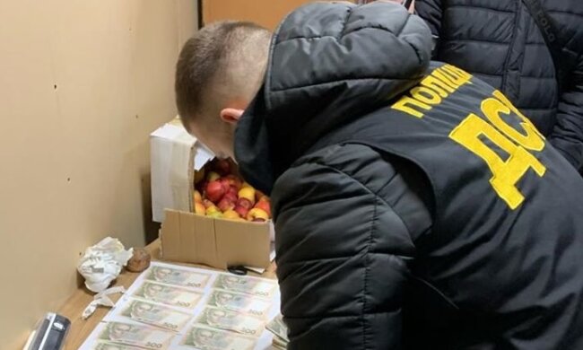На Тернопільщині чиновник попався на великому хабарі і заплатив смішний штраф