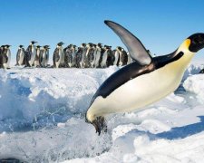 National Geographic опублікував найкращі фотороботи серпня (фото)