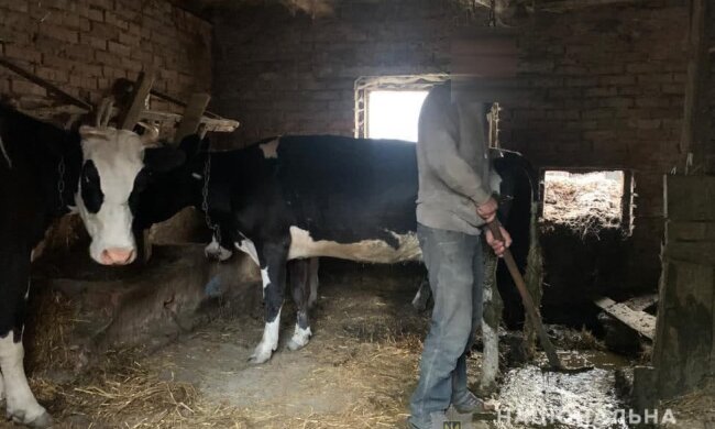 Тримала в сараї: жертвами української пенсіонерки стали троє чоловіків