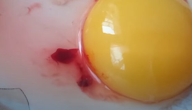 Яйце з кров'ю, скріншот: Youtube