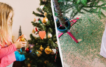 Уборка елки, изображения из соцсетей