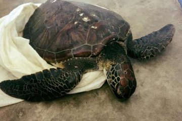 Добре відпочив: відпустка обійдеться росіянину в 20 років в'язниці