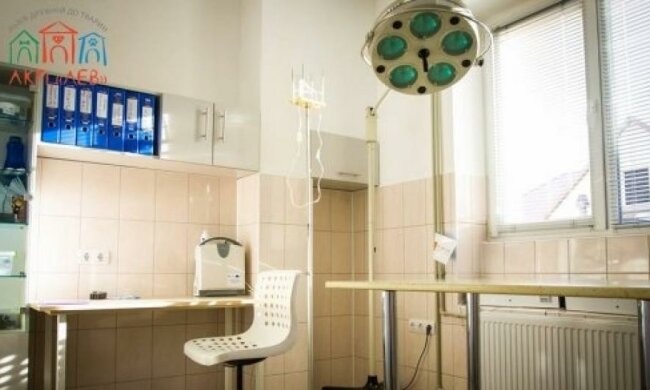  Первую коммунальную ветклинику открыли во Львове