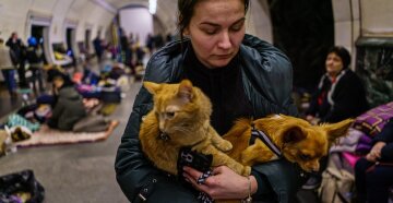 Тварини у укритті