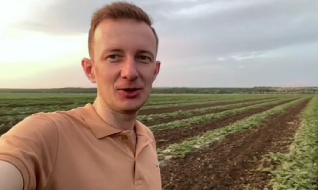 Фермер спас арбузы. Фото: скрин tiktok